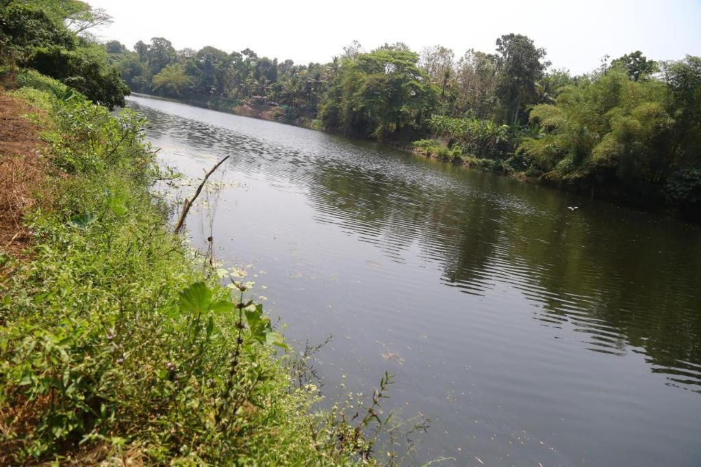The Mana-Heritage Stay - Chengazhimattam Mana Kottayam Eksteriør billede