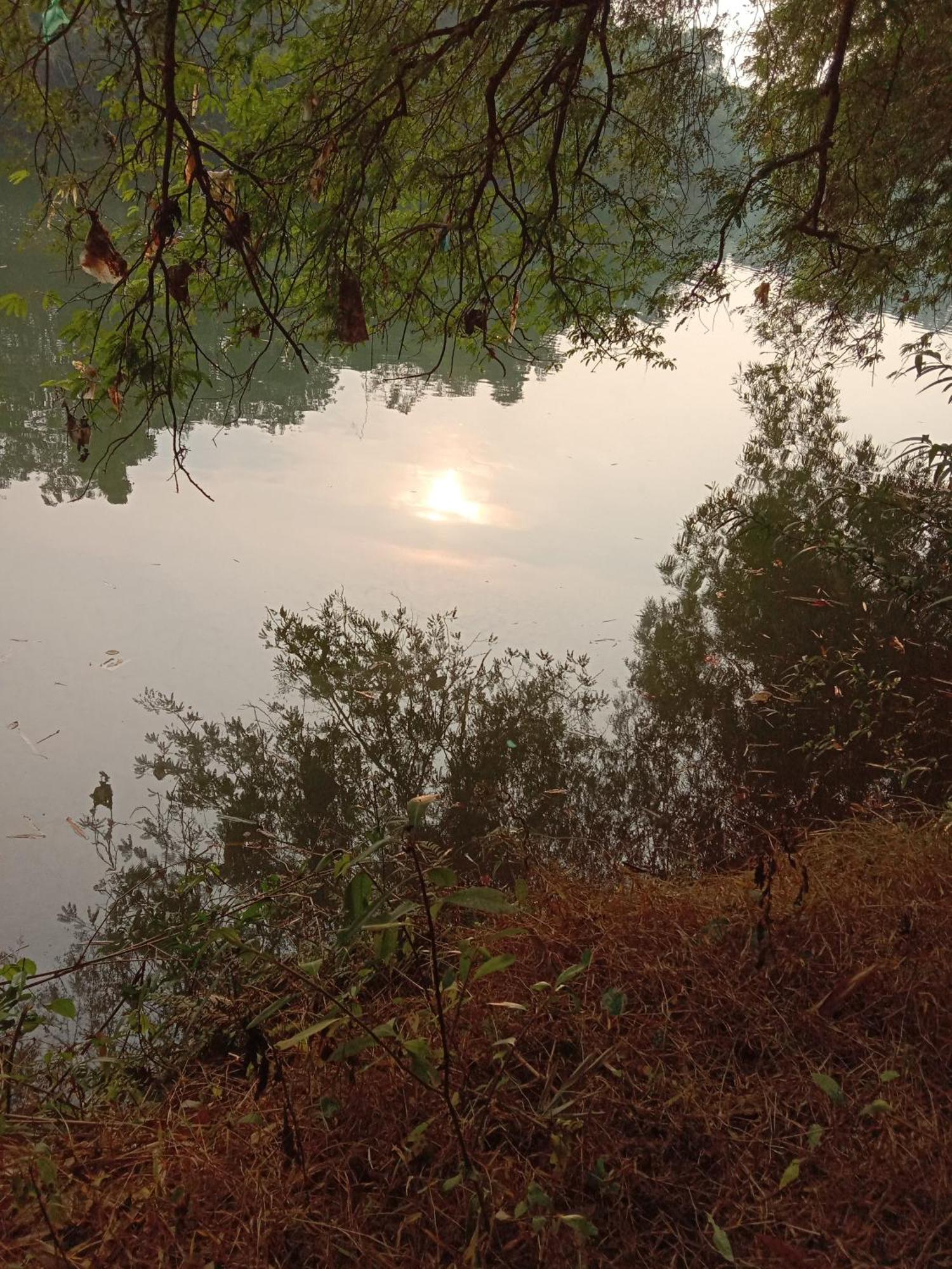 The Mana-Heritage Stay - Chengazhimattam Mana Kottayam Eksteriør billede