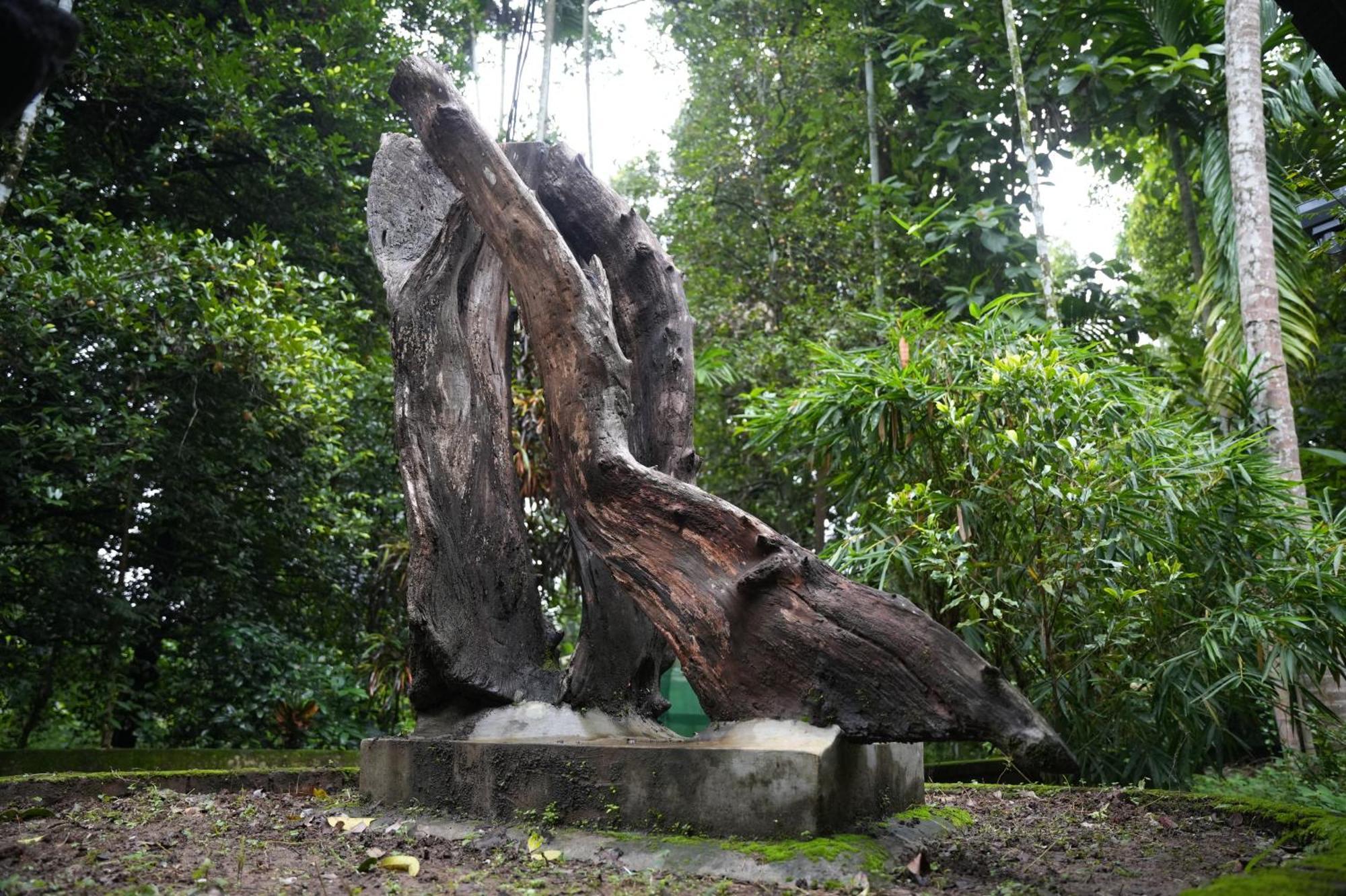 The Mana-Heritage Stay - Chengazhimattam Mana Kottayam Eksteriør billede