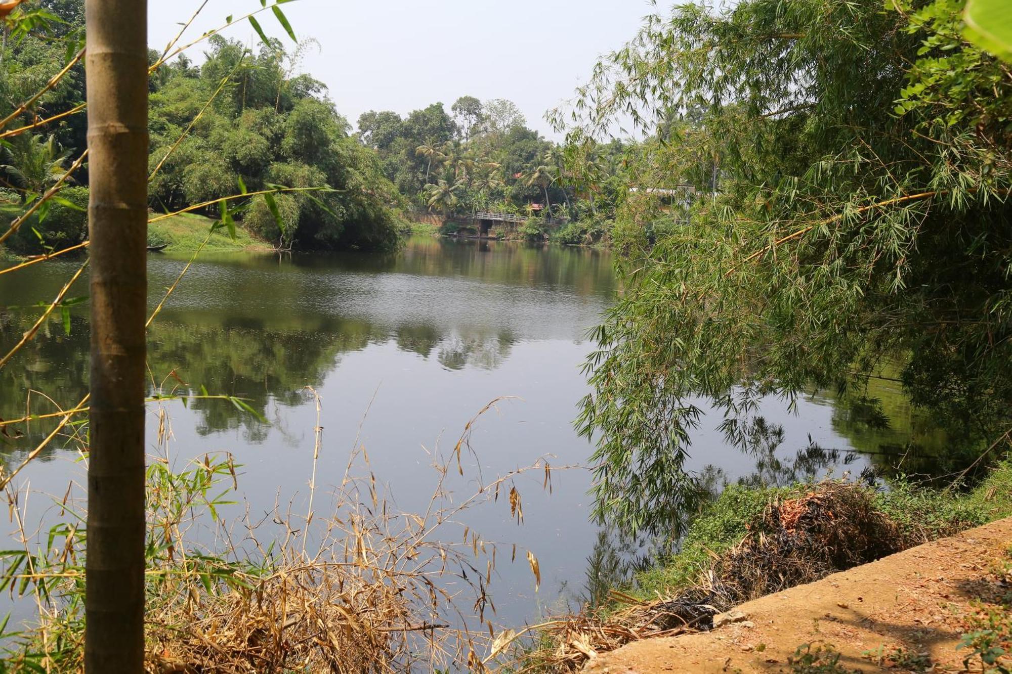 The Mana-Heritage Stay - Chengazhimattam Mana Kottayam Eksteriør billede