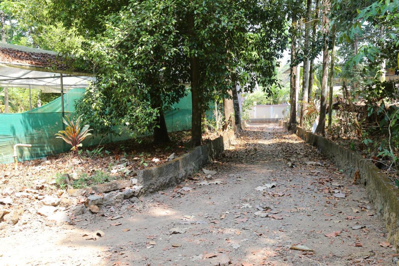 The Mana-Heritage Stay - Chengazhimattam Mana Kottayam Eksteriør billede