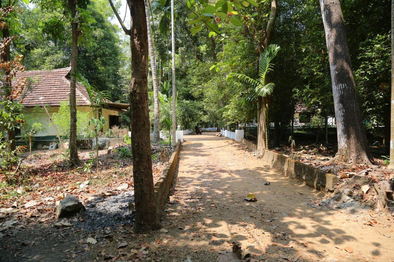 The Mana-Heritage Stay - Chengazhimattam Mana Kottayam Eksteriør billede