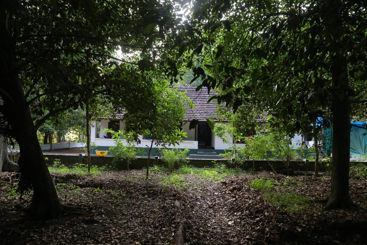 The Mana-Heritage Stay - Chengazhimattam Mana Kottayam Eksteriør billede